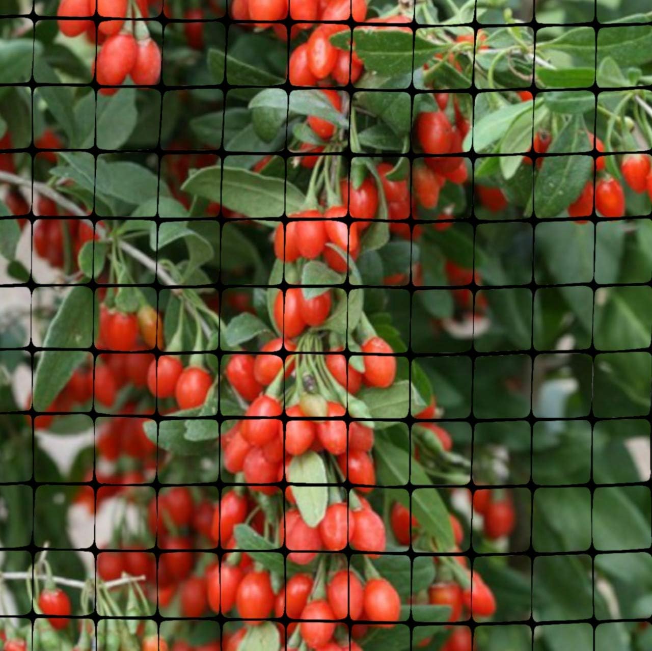 OldMacDonald Deer and Animal Fence Barrier Netting (55gr/sq m.) 7.5′ x 100′ (2.3m x 30m) (mesh 19x19mm) - Image 3